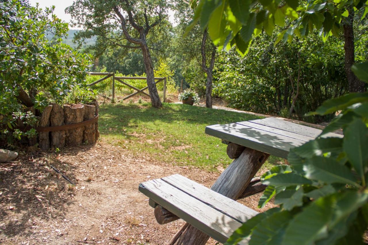La Simona Casa Rural Perales del Puerto Exterior foto